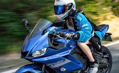 夜恋手机安卓支持精品